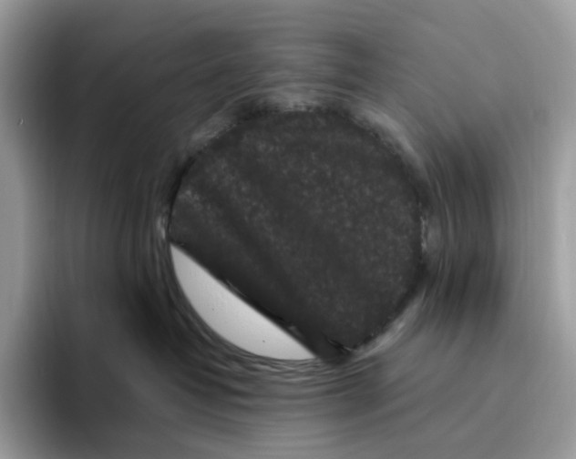 X0000093480382200711091631