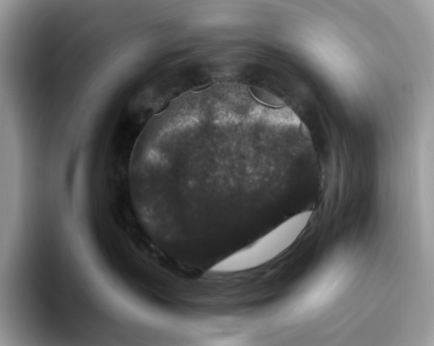 X0000093480383200711091631