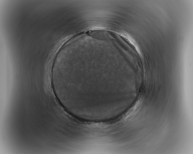X0000093480385200711091630