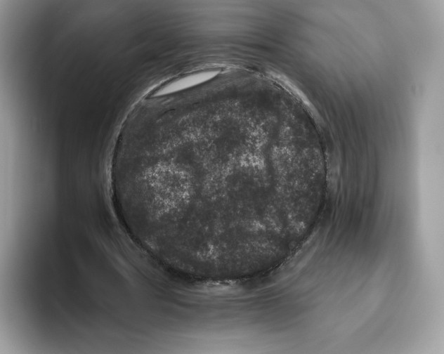 X0000093480386200711091630