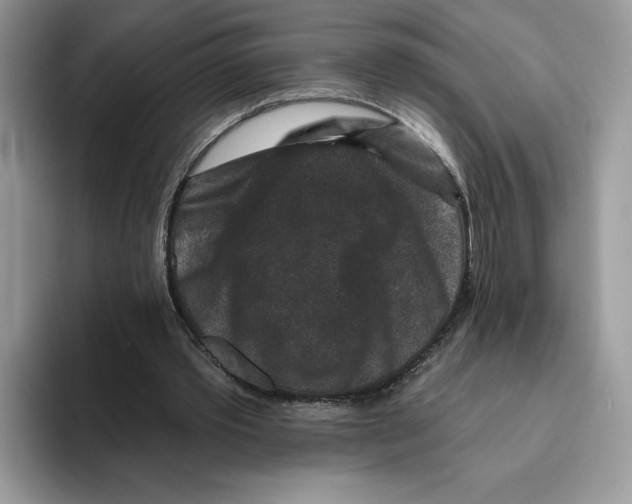 X0000093480389200711091630