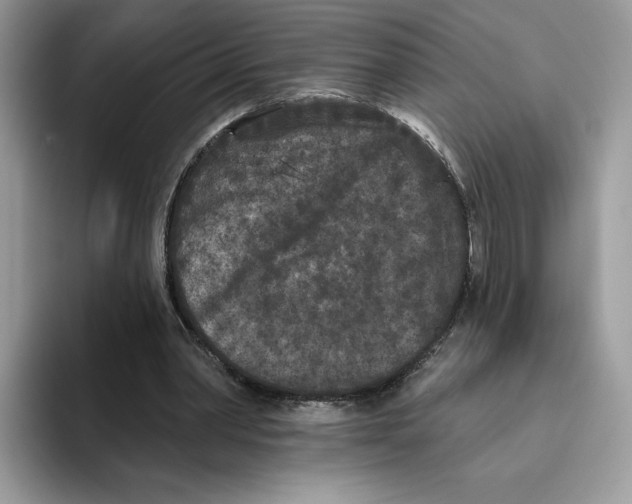 X0000093480390200711091630