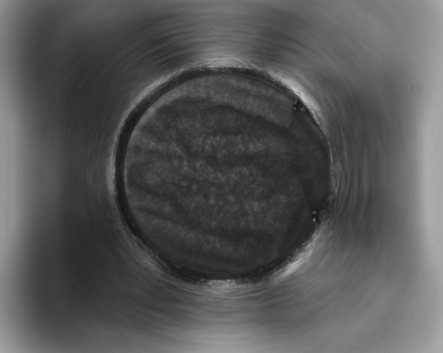 X0000093480391200711091630