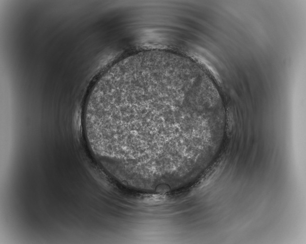 X0000093480398200711091630