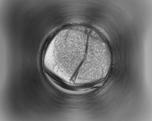 X0000093480399200711091630
