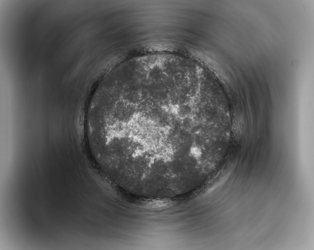 X0000093480402200711091630