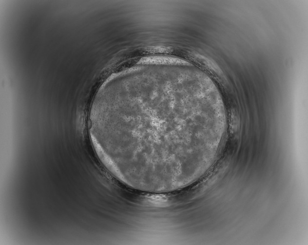 X0000093480409200711091630