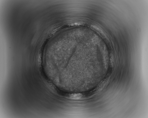 X0000093480410200711091630
