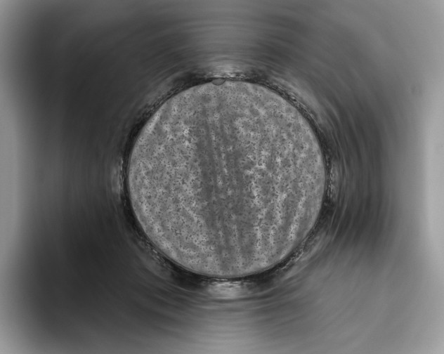 X0000093480413200711091630