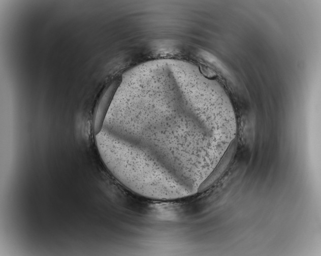 X0000093480417200711091630