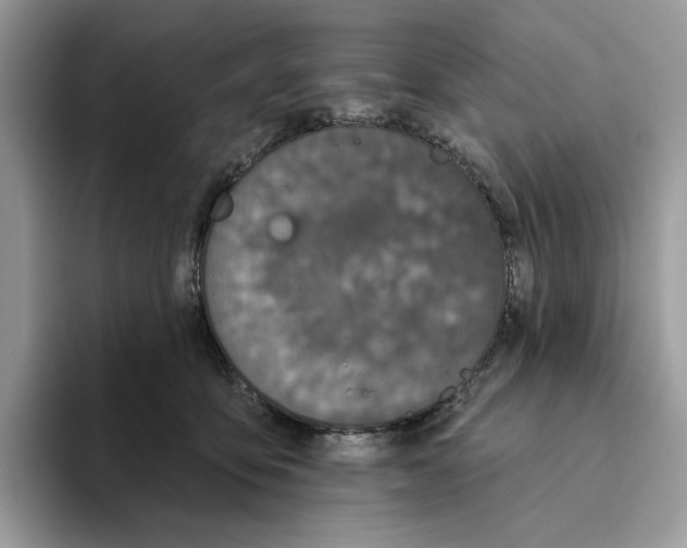 X0000093480419200711091630