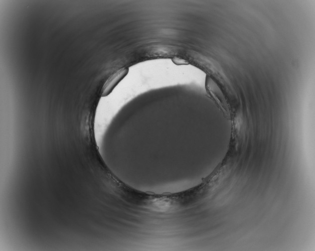 X0000093480423200711091630