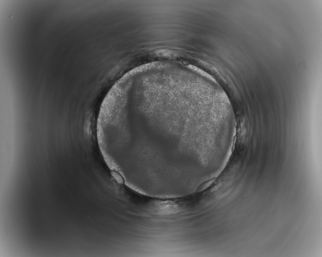 X0000093480424200711091630