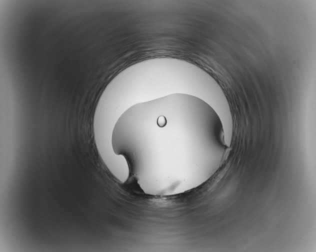 X0000093480425200711091630
