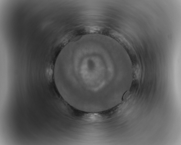 X0000093480427200711091630