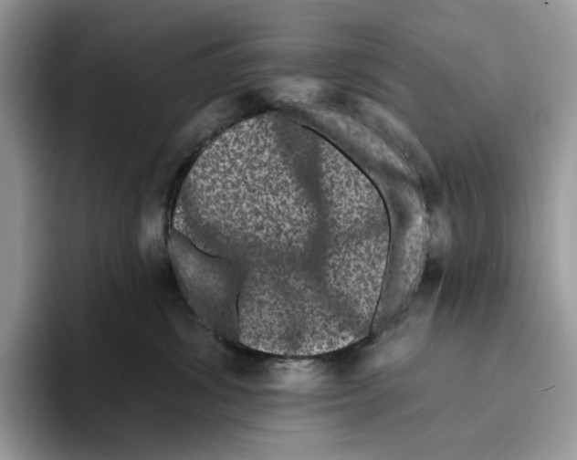 X0000093480428200711091630