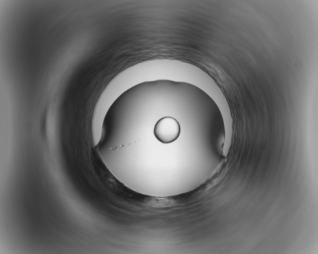 X0000093480429200711091630
