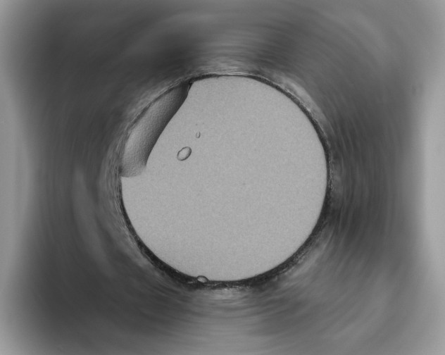 X0000093480433200711091629