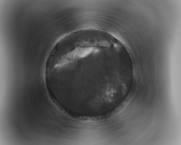 X0000093480434200711091629