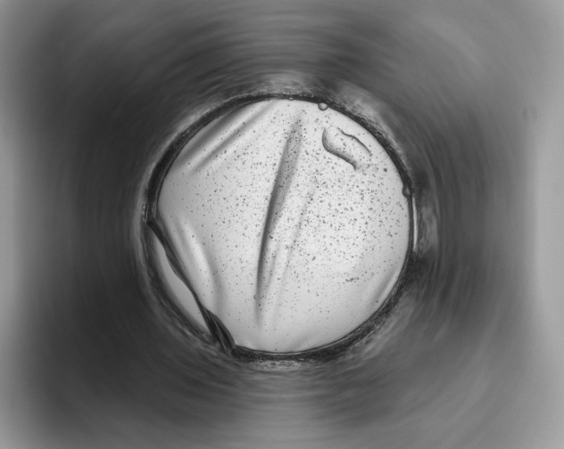 X0000093480435200711091629