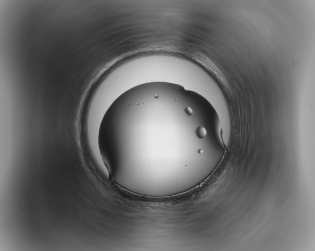X0000093480436200711091629