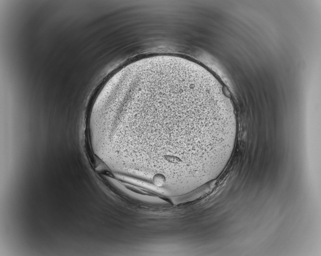 X0000093480437200711091629