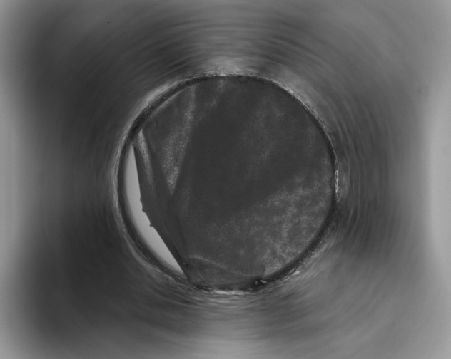 X0000093480438200711091629