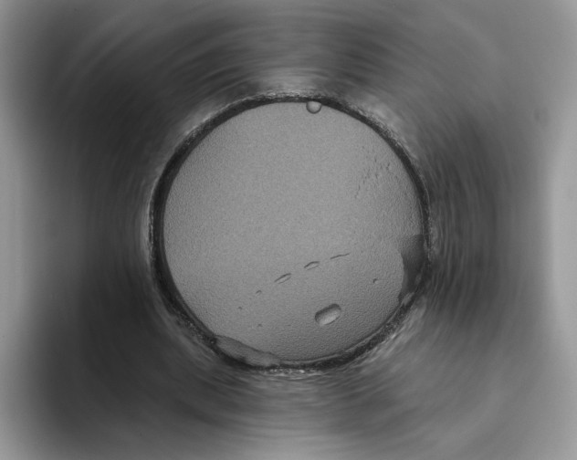 X0000093480439200711091629