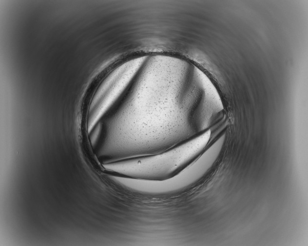 X0000093480440200711091629