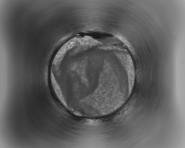 X0000093480442200711091629