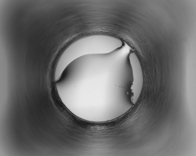 X0000093480444200711091629