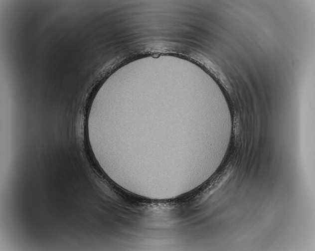 X0000093480445200711091629