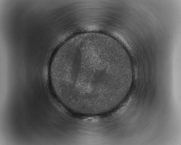 X0000093480447200711091629