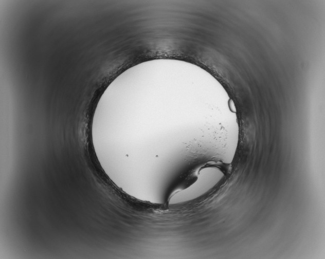 X0000093480450200711091629