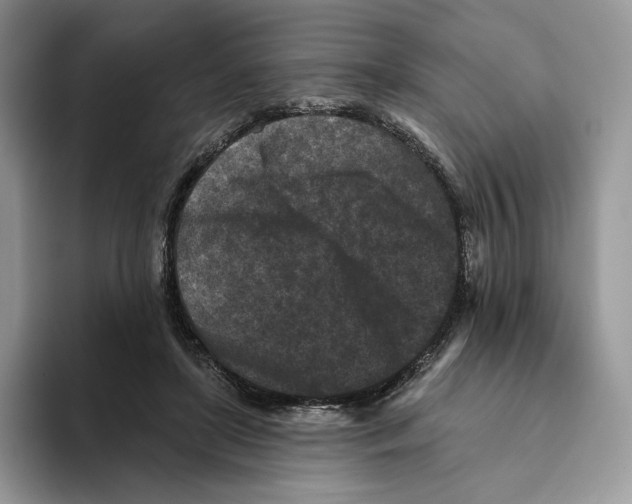 X0000093480451200711091629