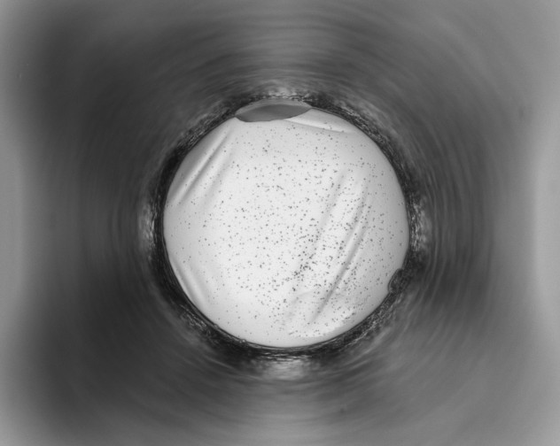 X0000093480456200711091629
