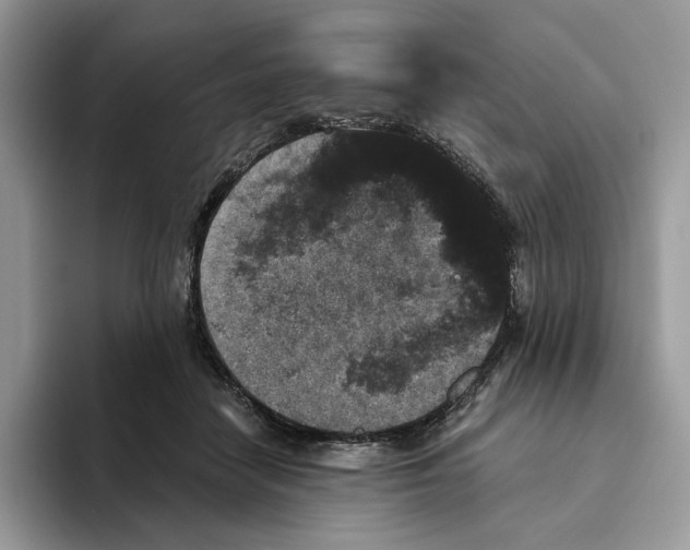 X0000093480458200711091629