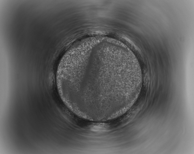 X0000093480459200711091629