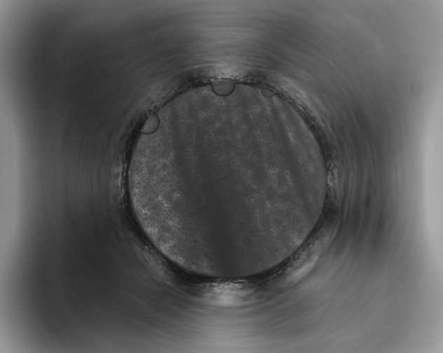 X0000093480462200711091629