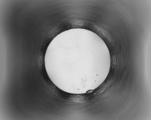 X0000093480463200711091629