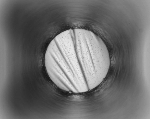 X0000093480464200711091629