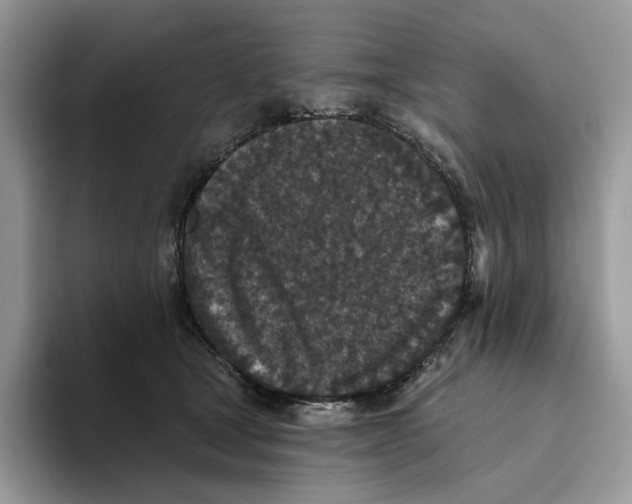 X0000093480465200711091629