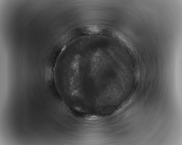 X0000093480467200711091629