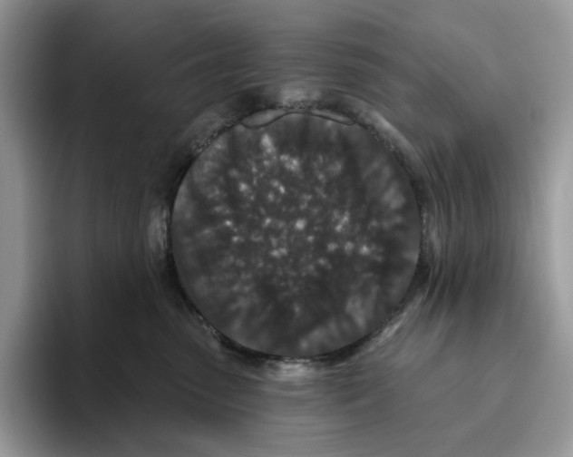 X0000093480475200711091629
