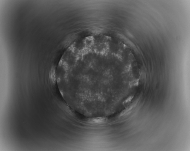 X0000093480479200711091630