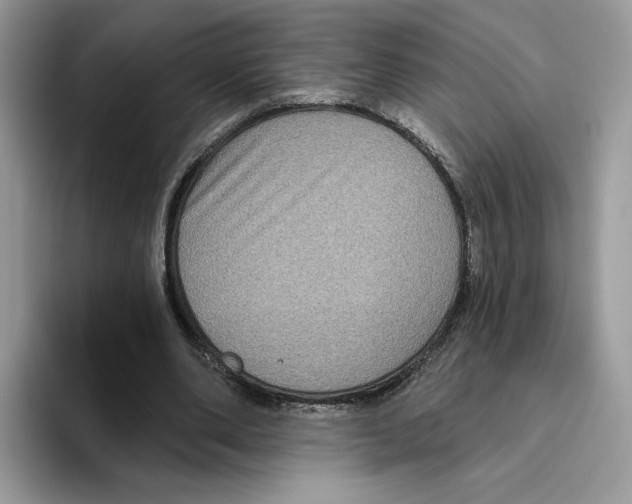 X0000093480486200711091629