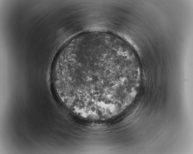X0000093480487200711091629