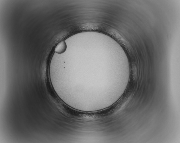 X0000093480490200711091629