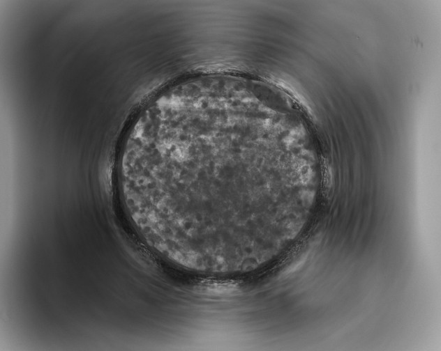 X0000093480491200711091629
