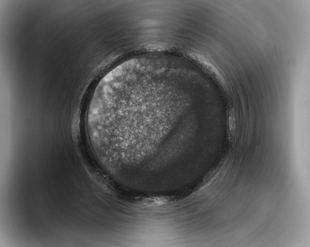 X0000093480492200711091629